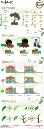 NPK - Infografica