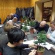 Corso base bonsai 2012