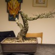 Il nuovo fronte del bonsai