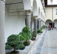 Colonne e bonsai