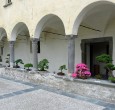 Bonsai nel chiostro