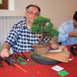 Villa Greppi 2011 - Il nostro presidente al lavoro!