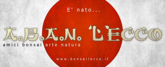 E’ nato il nuovo sito!