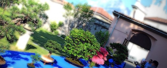 Mostra Bonsai a Castello