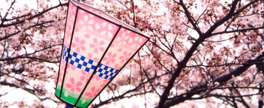 Honami – Ammirare i fiori