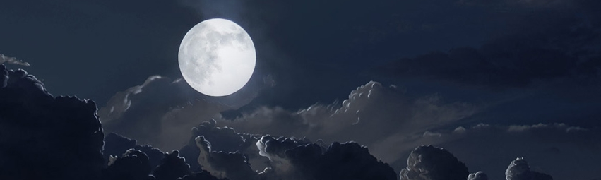 Otsukimi – La festa della Luna